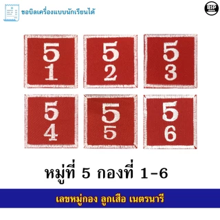 ป้ายหมู่กองลูกเสือ เนตรนารี แบบปัก เย็บติดแขนเสือ