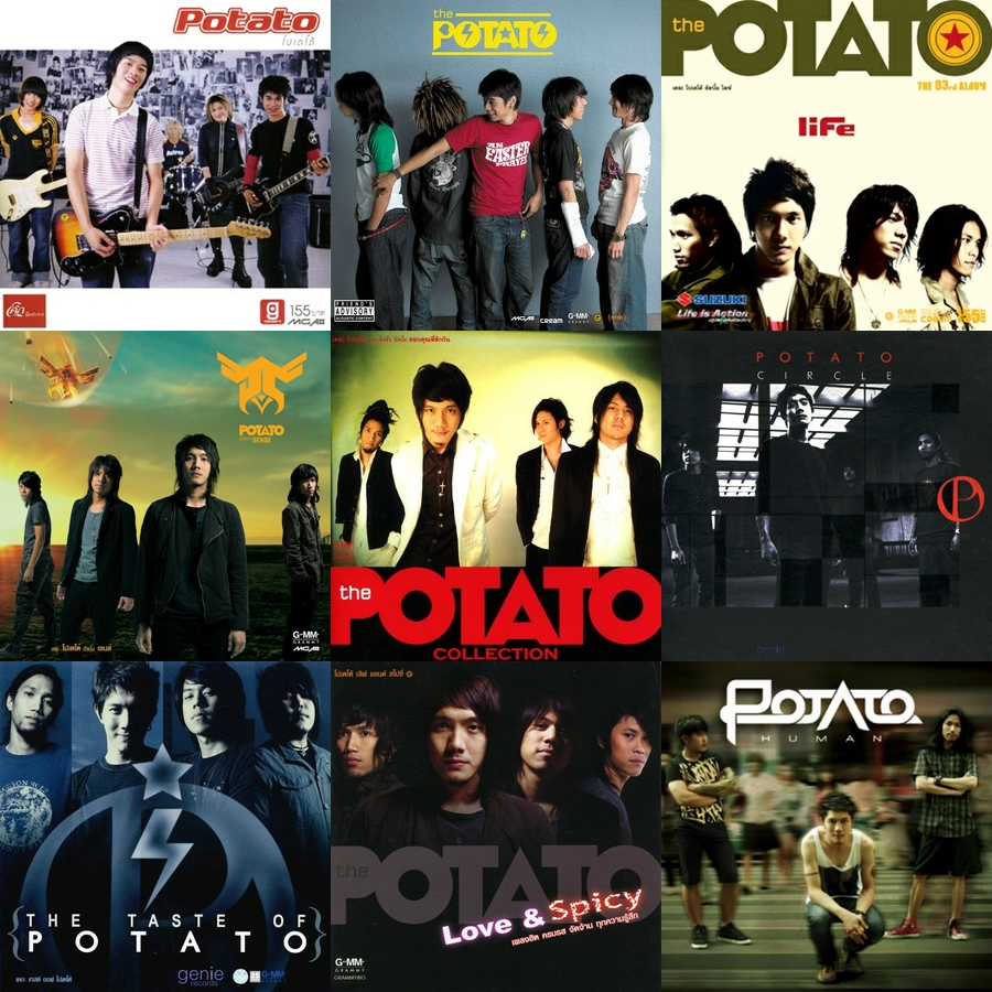 CD เพลง (แผ่นแท้) วงโปเตโต้ Potato มีทุกอัลบั้ม อัพเดทเรื่อยๆ GoOn/Life/Sense/Circle/Human/Focus/Ref