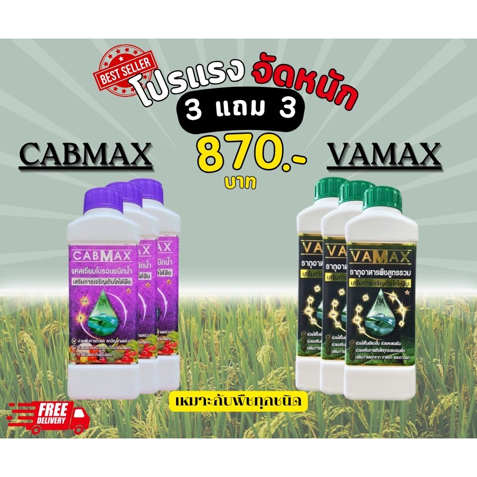 CABMAX แคลเซียมและโบรอนเข้มข้น + VAMAX ธาตุอาหารรวมเข้มข้น