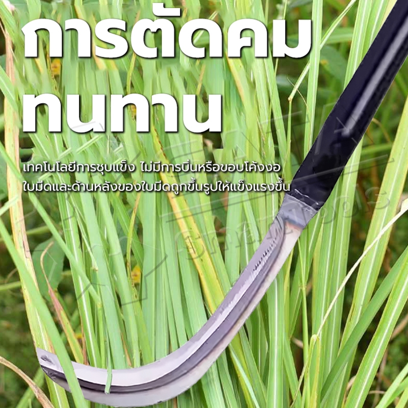 SA เคียวแมงกานีส 70CM เคียวปาดตองด้ามแป๊บยาว เคียวเกี่ยวหญ้า เคียวตัดหญ้า มีดดายหญ้า มีดถางหญ้า แข็งแรงคงพิเศษ - รูปที่ 4