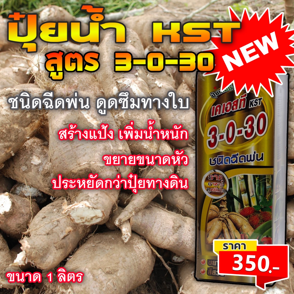 ปุ๋ยน้ำเคเอสที สูตร 3-0-30 สูตรเพิ่มแป้ง สูตรลงหัว มันสำปะหลัง
