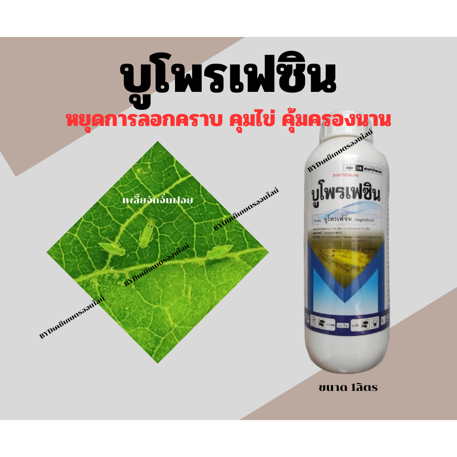 บูโพรเฟซิน ขนาด1ลิตร สารบูโพรเฟซินแบบน้ำ สูตรเย็นเข้มข้น40% กำจัดตัวอ่อน คุมไข่ตัวเเก่ กำจัดเพลี้ยกระโดดสีน้ำตาล ฯลฯ