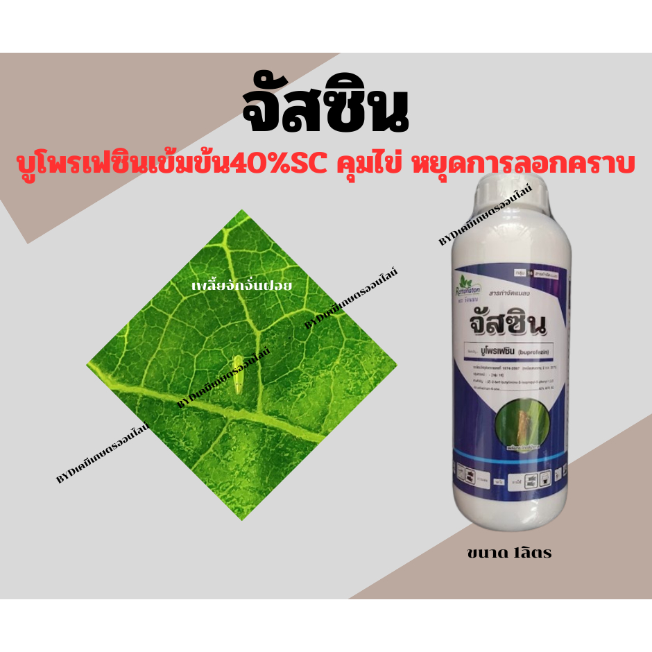 จัสซิน ขนาด1ลิตร สารบูโพรเฟซิน40%SC สูตรครีม ตวงง่าย ละลายเป็นเยี่ยม กำจัดตัวอ่อน และคุมไข่ในตัวเเก่ กำจัดเพลี้ยกระโดดฯ