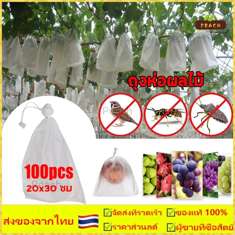 100 ใบถุงห่อผลไม้ ถุงห่อมะม่วง ใช้ห่อกันแมลง เพลี้ย แสงแดดไม่ต้องห่อกระดาษทับ ใช้ซ้ำได้ ไม่มีไอน้ำเกาะในถุง ถุงห่อฝรั่ง