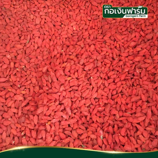 เก๋ากี้แดง ตรา กอเงินฟาร์ม Goji Berry Gorngern Farm Brand ขนาด 200 กรัม ทำอาหาร ชา เครื่องดื่ม
