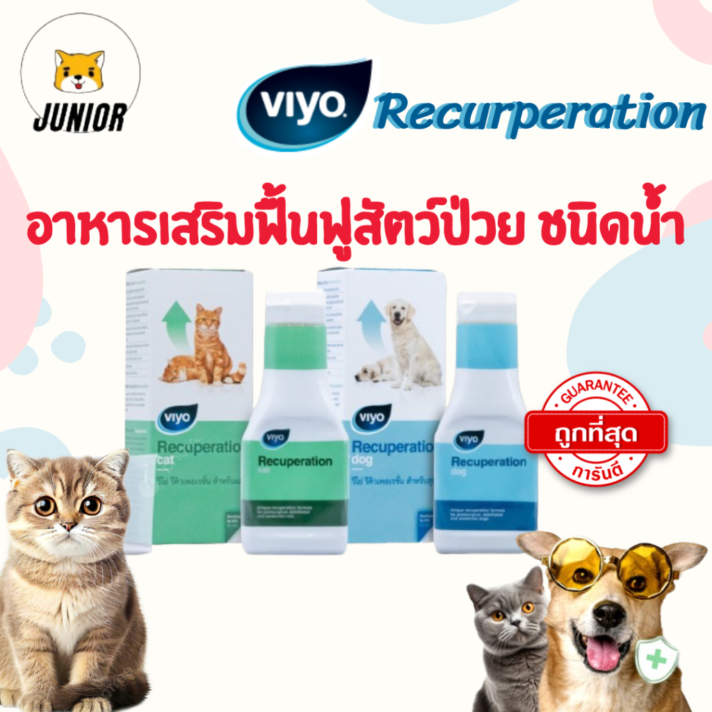 Viyo Recuperation Dog/ Cat รีคิวเพอเรชั่น 150มล ผลิตภัณฑ์สูตรน้ำ