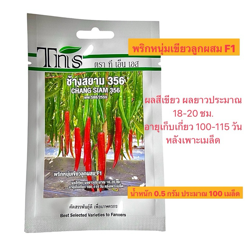tns เมล็ด พริกหนุ่มเขียว ช้างสยาม 356 (น้ำหนัก 0.5 กรัม ประมาณ 100 เมล็ด)