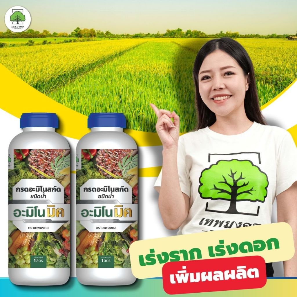 อะมิโนมิค ( 2 ขวด ) อาหารเสริมพืชทางใบ ชนิดน้ำ โตไว ดอกดก ผลใหญ่ ใบเขียว ต้านทานโรค เปิดตาดอกทุเรียน สูตรปุ๋ยข้าวแตกกอ