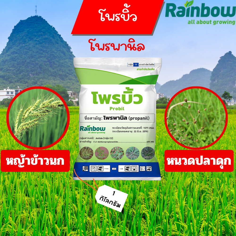 โพรพานิล #ผง(โพรบิ้ว) 60% WG กำจัดวัชพืช ใช้หลังวัชพืชงอก
