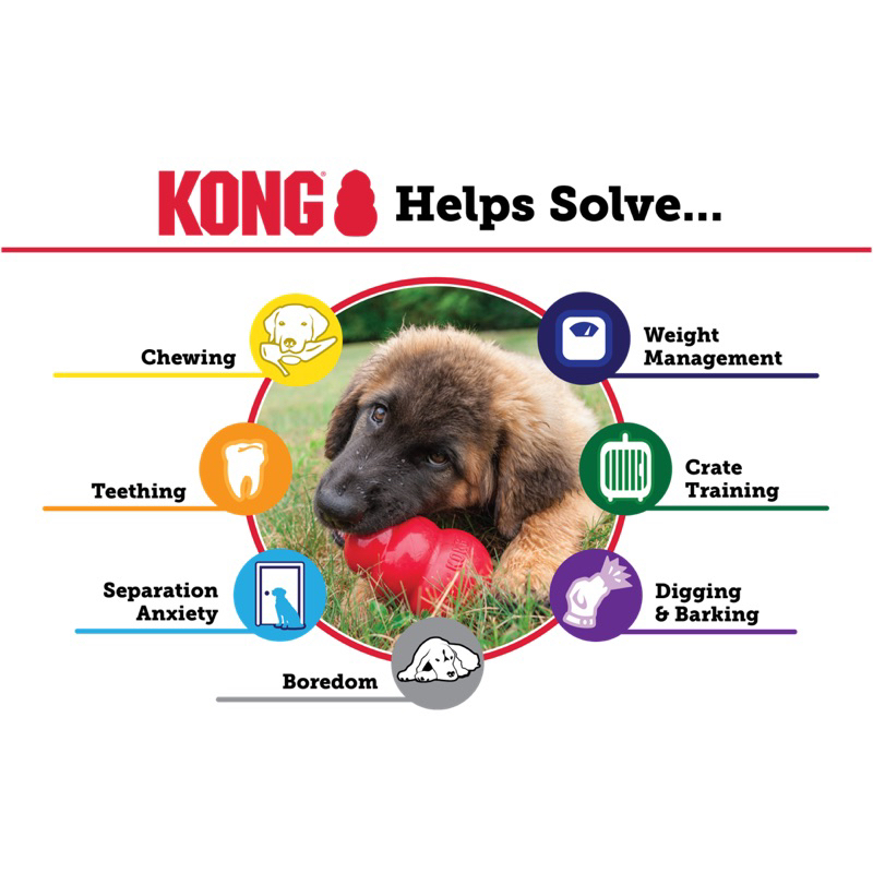 KONG Classic made in USA ยางกัด มีช่องใส่ขนม ที่ขัดฟัน รูปที่ 4