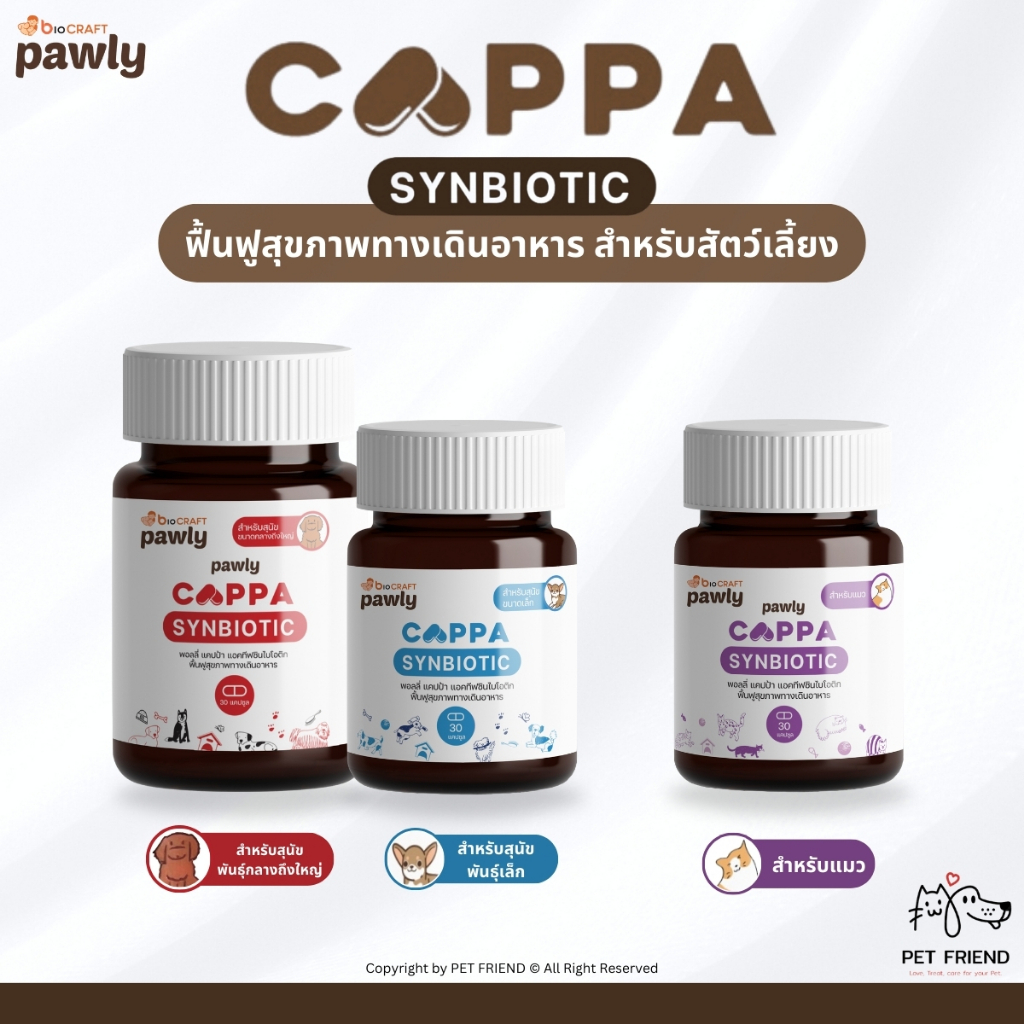 CAPPA Synbiotic ผลิตภัณฑ์รักษาสมดุลในระบบทางเดินอาหาร สำหรับสุนัขและแมว