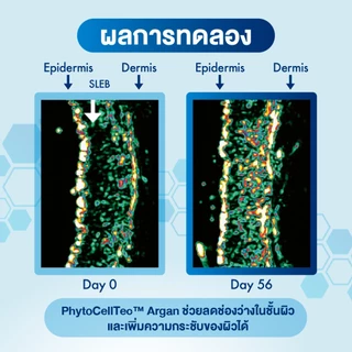 Oilatum ออยลาตุ้ม เจนเทิล เฟเชียล เดย์ ครีม ผลิตภัณฑ์บำรุงผิวหน้า สูตรอ่อนโยน
