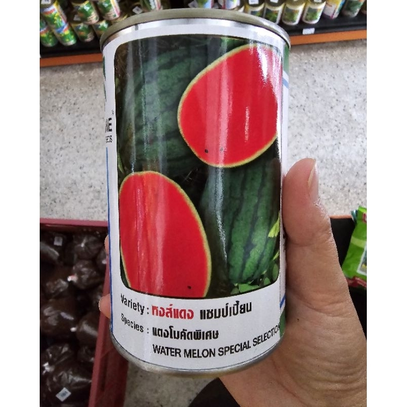 เมล็ดแตงโม หงส์แดง แชมป์เปี้ยน เมล็ดคัดพิเศษ ขนาด 40 กรัม ตรา ซีดไลน์ seedline