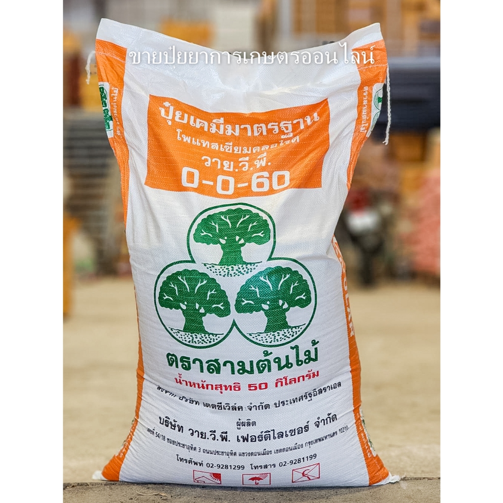 (50 กิโล) ปุ๋ยยูเรีย 0-0-60 ตราวาย.วี.พี เพิ่มผลผลิต เพิ่มน้ำหนัก ขยายขนาดไม้ผล **สั่งครั้งละ1กระสอบ