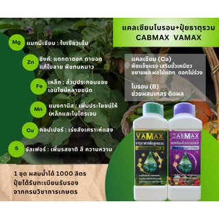 CABMAX+VAMAX แคลเซียมโบรอนเข้มข้ม แถม ปุ๋ยธาตุรวม [ชุด 2 แถม 2] V2+C2