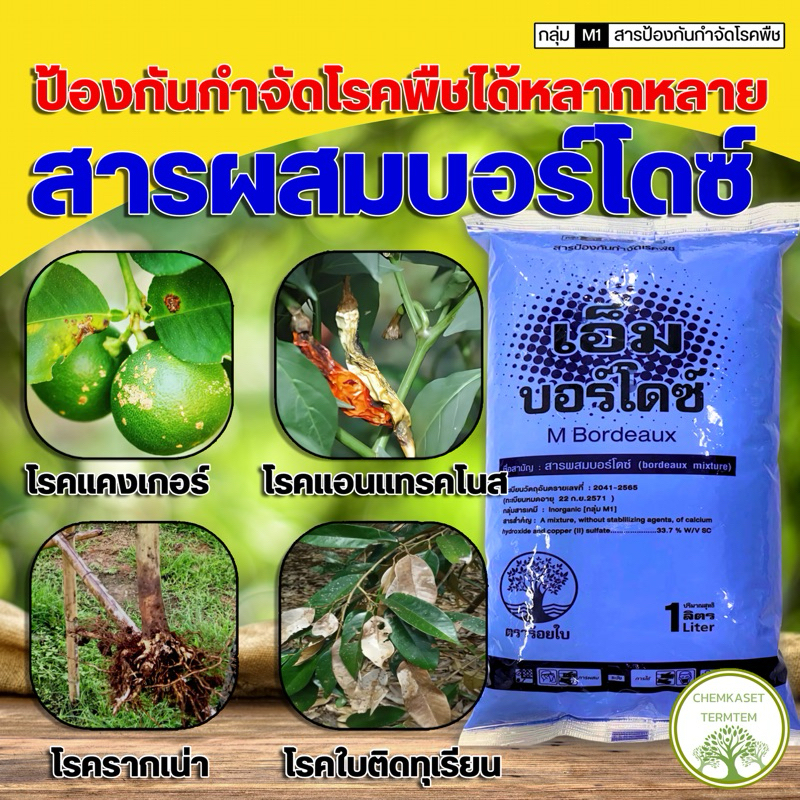 เอ็ม บอร์โดซ์ ขนาด 1 ลิตร บอร์โดมิกเจอร์ สารกลุ่มคอปเปอร์ ป้องกันกำจัดเชื้อราไฟท็อปเทอรา ฟิวซาเรียม