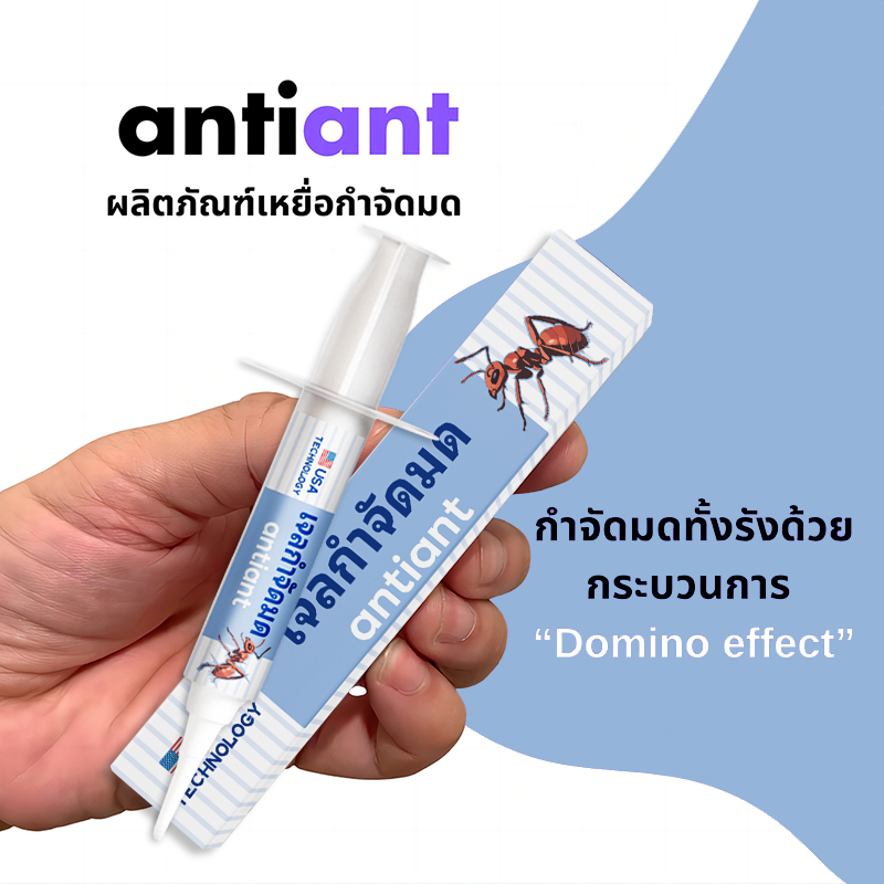 antiant ยาฆ่ามด เหยื่อมด เจลกำจัดมด เจลฆ่ามด 10 กรัม ตายยกรัง ยาฆ่ามด ตายยกรัง 100%ได้ผล