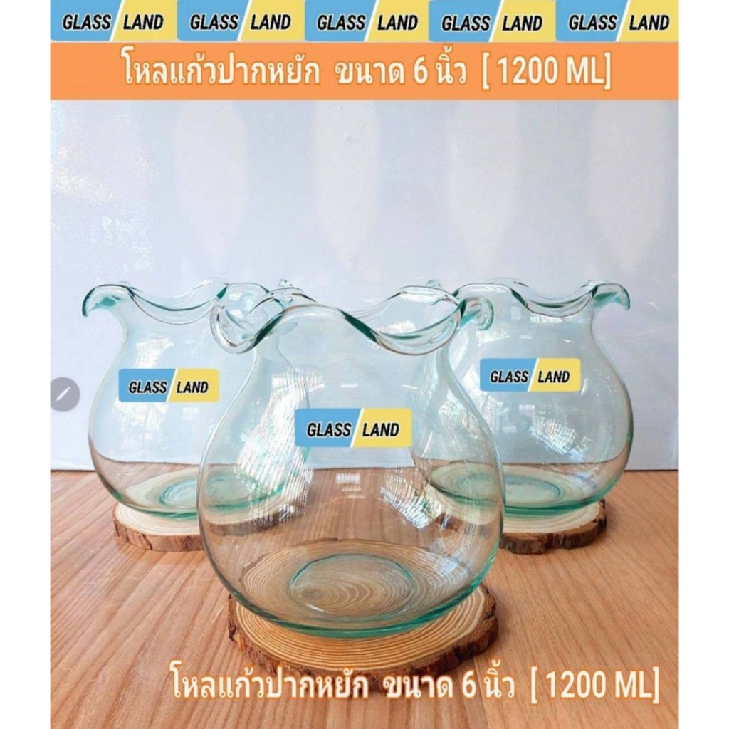 โหลแก้วปากหยัก 6 นิ้ว โหลแก้วปากจีบ โหลใส่ไผ่กวนอิม [1200 ML] [พร้อมส่ง]โหลแก้วเลี้ยงปลา โหลใส่ไผ่กวนอิม โหลปลูกต้นไม้