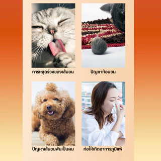 yoyopet : หวีสแตนเลส หวีซี่ ด้ามไม้ สำหรับหมา แมว หวีปมขน หวีสางขนสัตว์เลี้ยง อุปกรณ์ดูแลขนสุนัข แมว