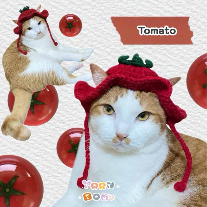 หมวกสัตว์เลี้ยง หมวกเเมว Tomato
