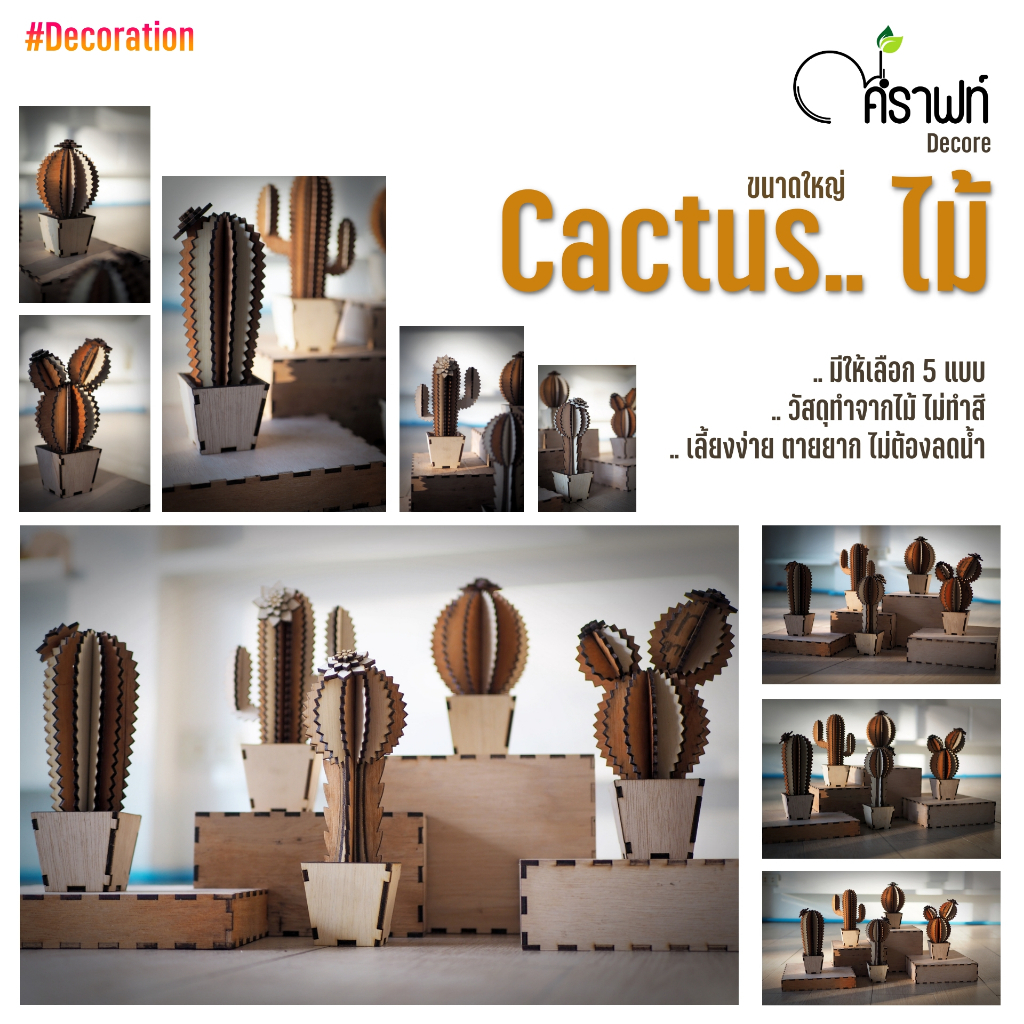 Na.Crafts : Decore Cactus ไม้..เลี้ยงง่าย ตายยาก