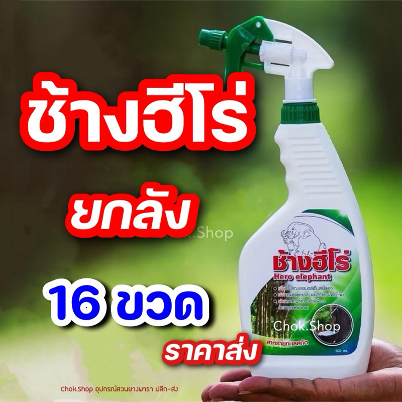 [[ยกลัง]] ช้างฮีโร่ สารบำรุงหน้ายางพารา ช่วยเพิ่มปริมาณน้ำยาง