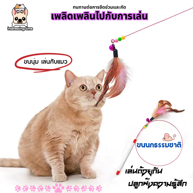 ✨😻ของเล่นแมว เหยื่อของเล่นแมว ของเล่นแมว ขนนก ที่ดูดสูญญากาศ แท่งอึแมว แท่งแกล้งแมว ของเล่นที่ปลูกฝังความรัก