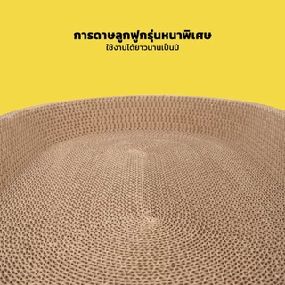 PETLOVE อ่างลับเล็บแมว ทรงวงรี ที่ลับเล็บแมว คุณภาพดี ที่ลับเล็บแม 2in1