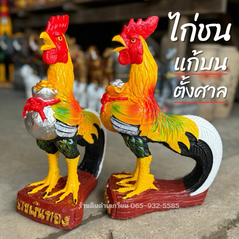 พร้อมส่ง ไก่อุ้มถุงเงินถุงทอง ไก่ชน ไก่แก้บน ไก่ไหว้ศาล ไก่ถวายไอ้ไข่ ขายเป็นคู่ ขนาด 14.5 นิัว