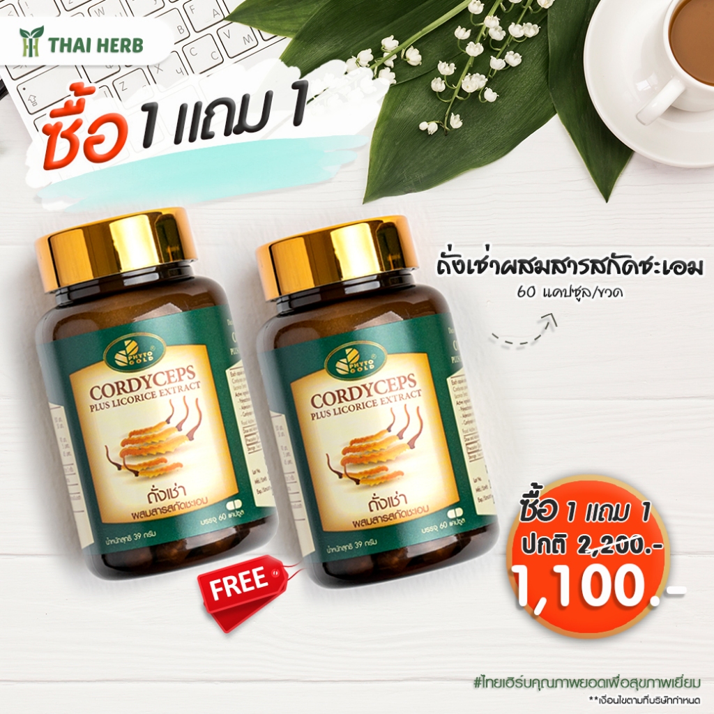 PHYTO GOLD ถั่งเช่าผสมสารสกัดชะเอม 60 แคปซูล