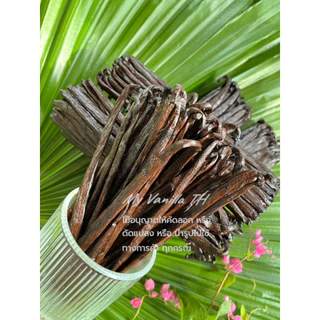 ((ส่งตรงจากมาดากัสการ์)) ฝักวานิลลา TK Noire **จำนวนจำกัด** ฝักละ 29 บาท 12-15 cm** (ควรใช้ทันทีหลังได้รับ) ขั้นต่ำ 3ฝัก