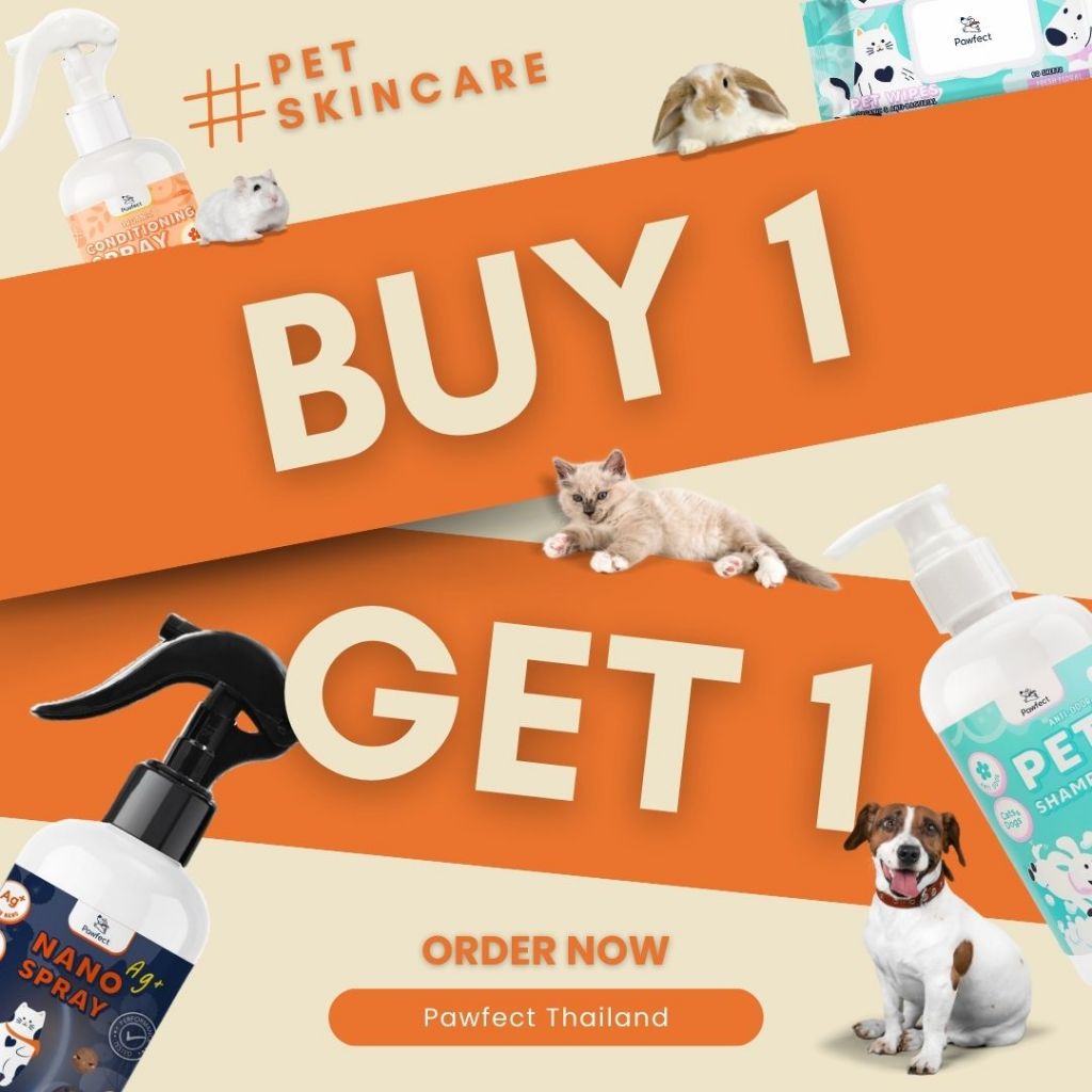 12.12 Pawfect ซื้อ 1 แถม 1 ทุกรายการ ถึง 26 ธ.ค เวลา 17:00