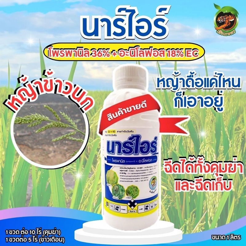 นาร์ไอซ์ โพรพานิล+อะนิโลฟอส ฆ่าหญ้าในนาข้าว หญ้าดื้อยา ข้าวนก ดอกขาว กก หนวดปลาดุก