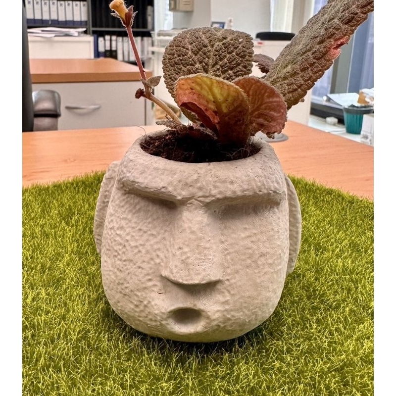 กระถางปูนเปลือยมนุษย์หินนอน ขี้เกียจ🗿🌵🗿🌵🗿
