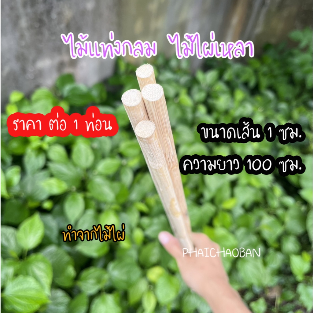 ไม้แท่งกลม ไม้เหลา ไม้ไผ่กลม ขนาด 10 มิล