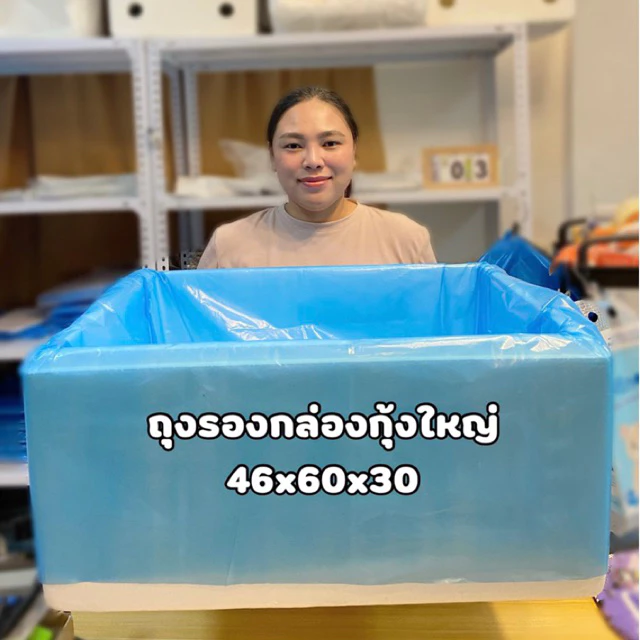 ถุงรองกล่องกุ้งสีฟ้า46x60x30(แบบสวม)