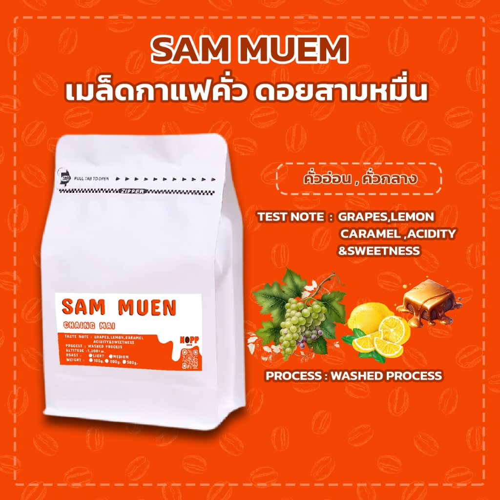 NOPPCOFFEE เมล็ดกาแฟดอยสามหมื่น-คั่วอ่อน,กลาง Washed Process