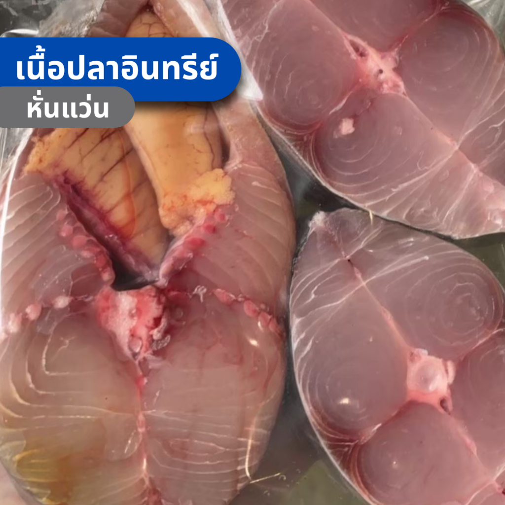 ปลาอินทรีย์ ปลาอินทรีย์สด ปลาอินทรีย์ มีนามีปลา อาหารทะเล