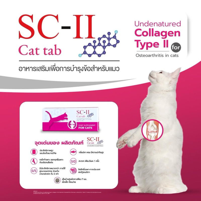 SC-II Cat อาหารเสริมบำรุงข้อคอลลาเจนไทป์ทูสำหรับแมว (กล่อง30เม็ด)