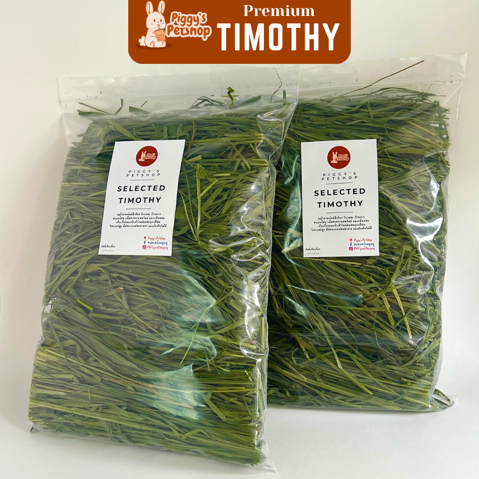 Timothy [Piggy] หญ้าทิมโมธี หญ้ากระต่าย อบลมร้อน ธิมโมธี่ April 2026