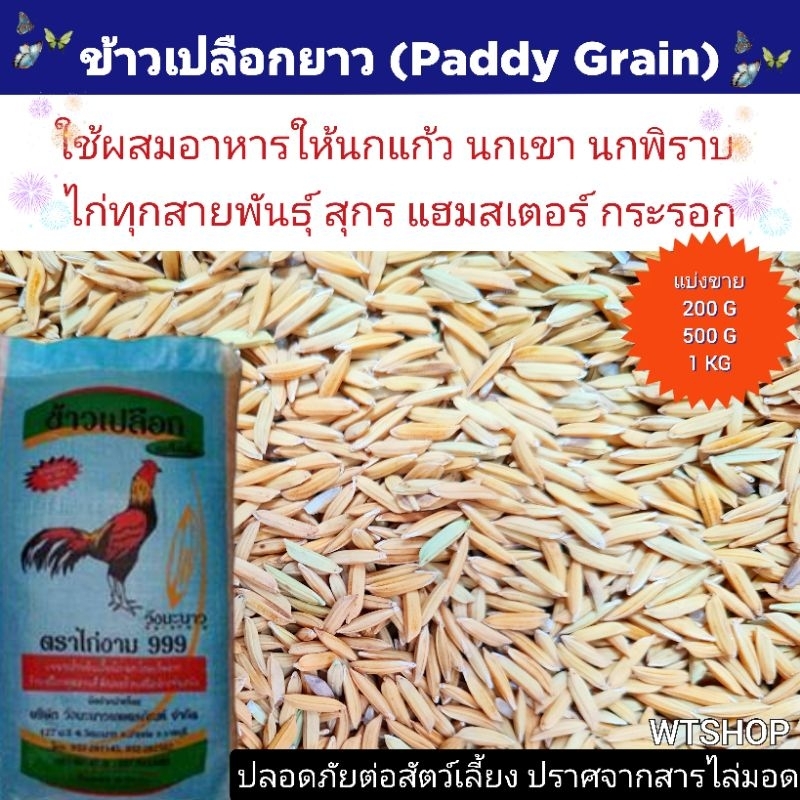 ข้าวเปลือกยาว ข้าวเปลือกเม็ดยาว สำหรับนก ไก่ หมู แฮมสเตอร์ แบ่งขาย (เปลือกยาว)