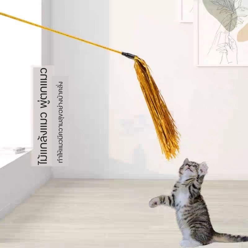 ไม้ตกแมว พู่ตกแมว ของเล่นสำหรับแมว