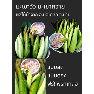 ผลไม้ป่ามะเขาวัวมะเขาควายสดและดอง จาก อ.บ่อเกลือ น่าน แถมน้ำจิ้มพริกเกลือรสแซ๊บ ปอกเปลือกก่อนทานนะคะ