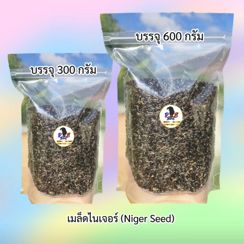 เมล็ดไนเจอร์ (Niger seed) อาหารสำหรับนกแก้ว เมล็ดสะอาด ใหม่ไร้ฝุ่น (แบ่งขาย 300 กรัม / 500 กรัม)