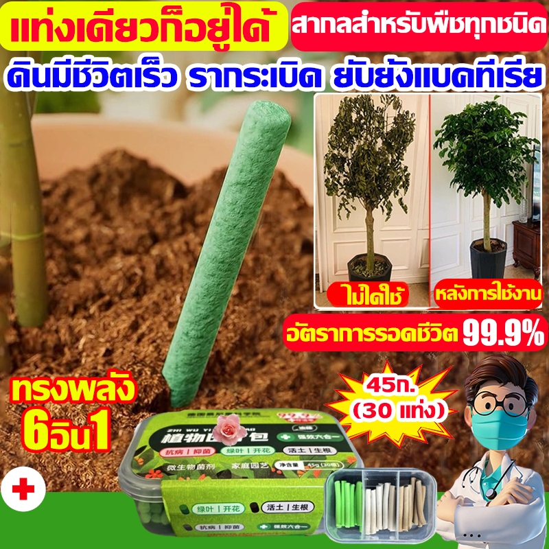 ธาตุอาหารพืชแท่งปล่อยช้า ฮอร์โมนพืช แท่งสารอาหารเสริมพืชสําหรับผักและผลไม้ ปุ๋ยละลายช้าสำหรับดอกไม้ ผลไม้ และผัก