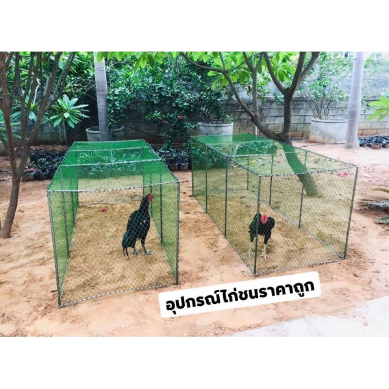 ลู่วิ่งไก่ชน ลู่ปล่อยไก่ ยาว2เมตร