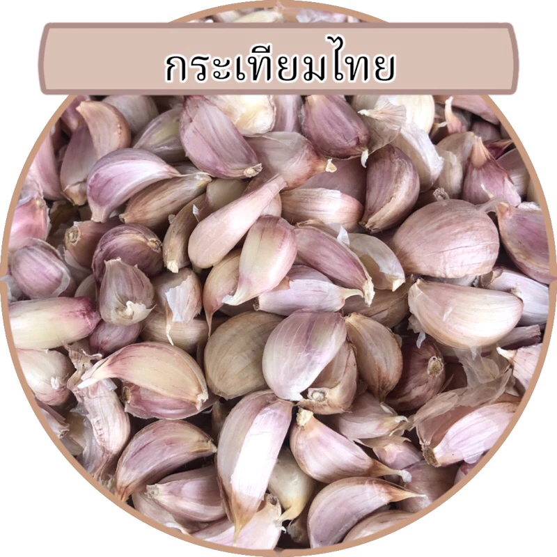 กระเทียมไทยแกะกลีบ คัดสวย
