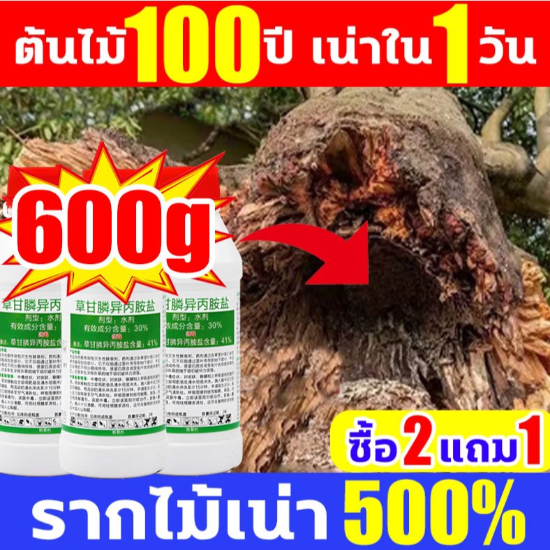 1หยดตายจากราก ยาฆ่าต้นไม้ใหญ่ 200ML เข้มข้นมาก สารกําจัดกอไผ่ รากเน่ารากไม่ขึ้นอีก ยาฆ่ากอไผ่ ยาฆ่าตอไม้ ยาฆ่าหญ้า
