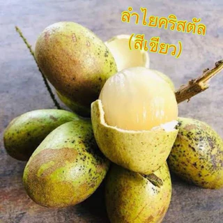 ต้นลำใยคริสตัล ต้นลำใยคริสตัลสีแดง ต้นลำใยคริสตัลสีเขียว ต้นลำใยคริสตัลสีม่วง เสียหายเคลมฟรี