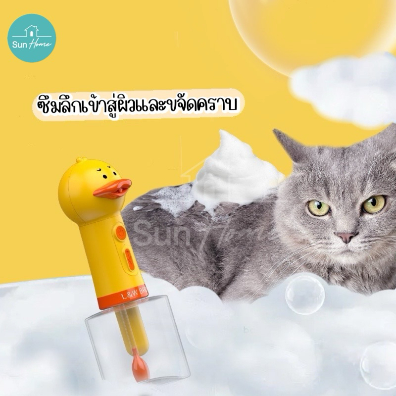 รูปภาพ 3